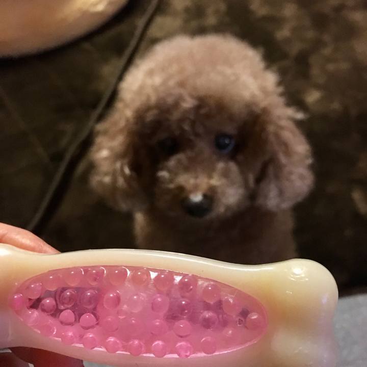 038121fd 3aff 4350 80cb ea12642141da