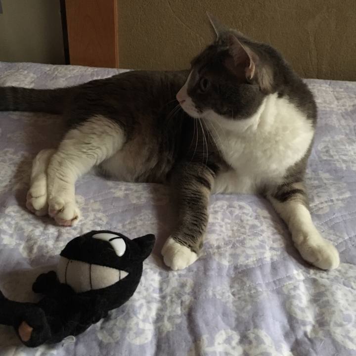 03816dbf 501a 465c 955f ce9c9b52e0eb