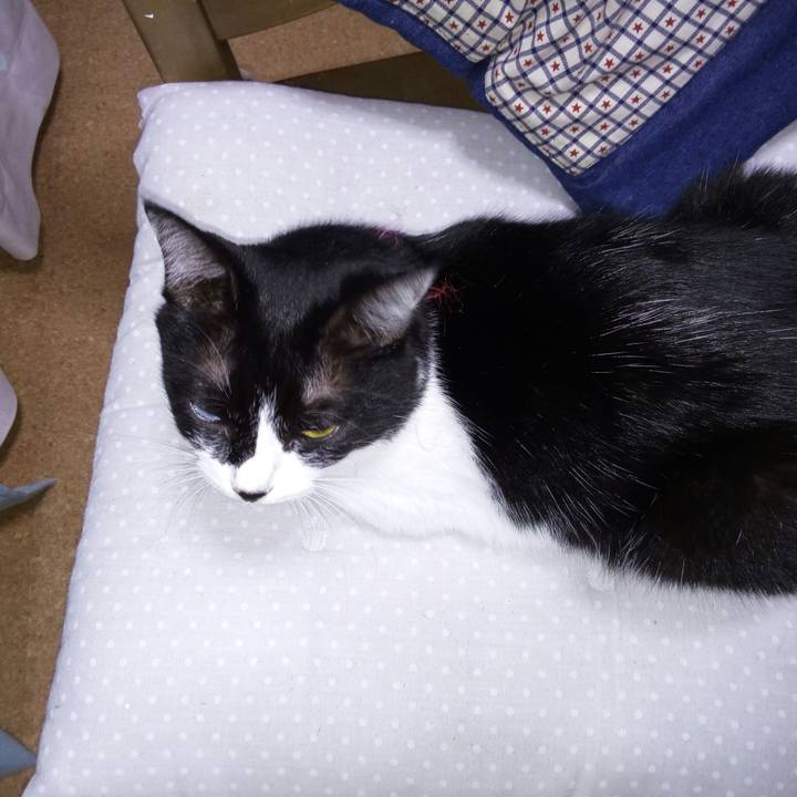 03818a08 20e6 4043 95d1 e795b77e3112