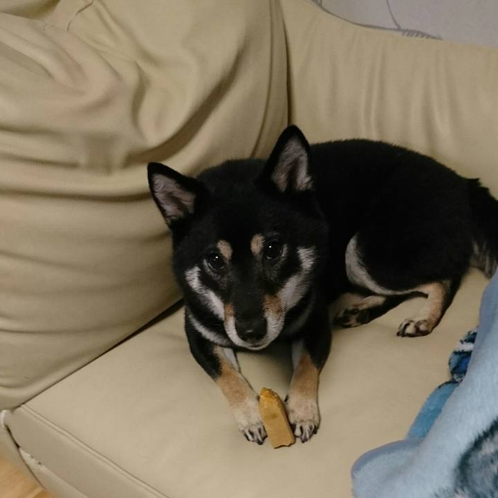 0381ea38 e2ad 4acf 8c76 d47d0edefc07