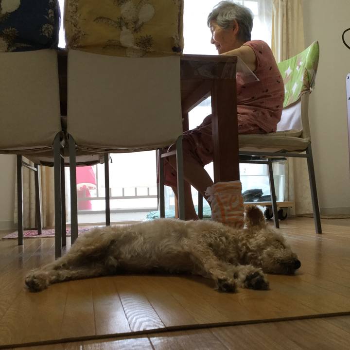 0382682c 4803 4b01 b0d5 f39baa9406ab