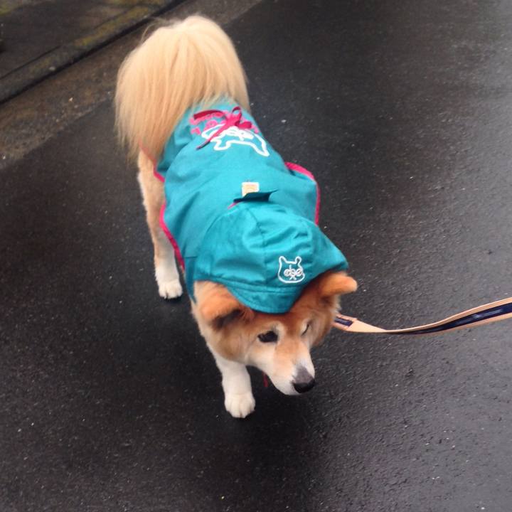 0382d967 05b8 44c9 9aa1 b22d226b81e0