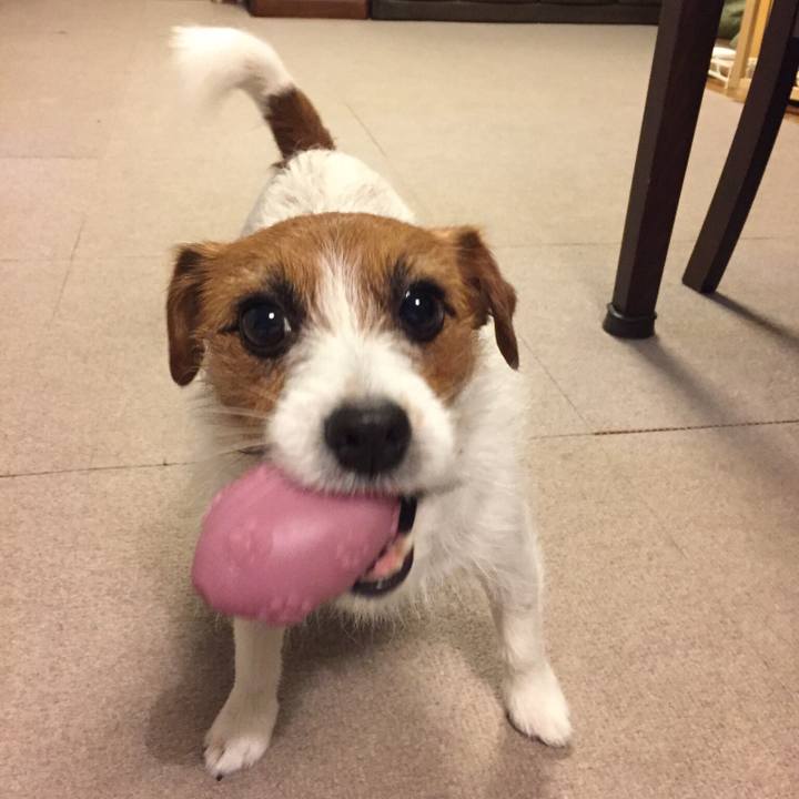 03833452 9a99 43d0 a0a6 d8bf94bd4b2a