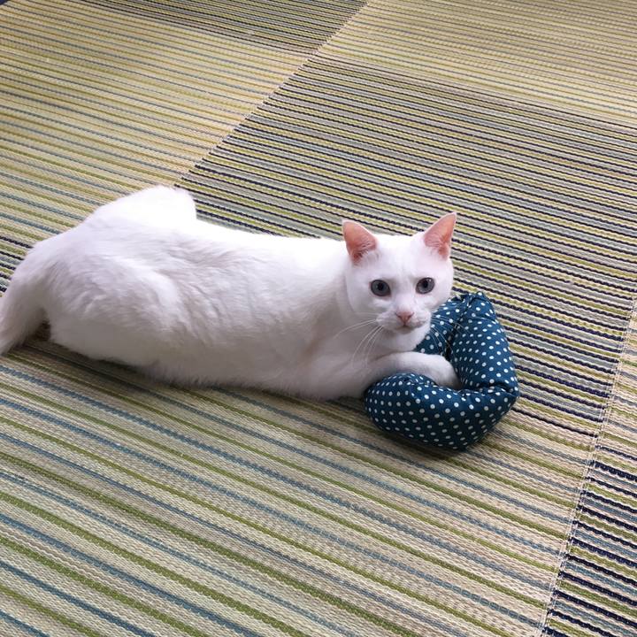 0383439f 9dad 4106 93f0 ca51443645ac