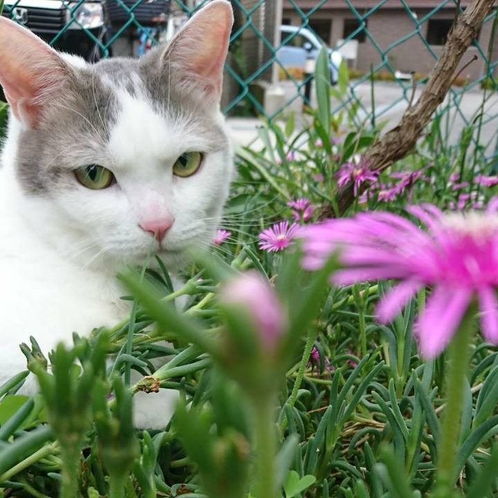 0383be91 1bbb 4c6f 850b 66cc20b95519