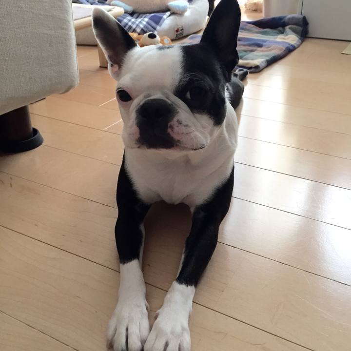 0384c895 2e14 442a 8257 139d0d4a1033