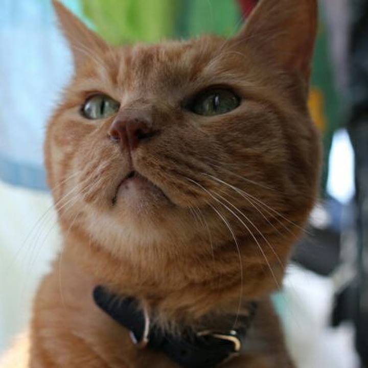 0385598a e215 4744 a0a3 d61b499f474f