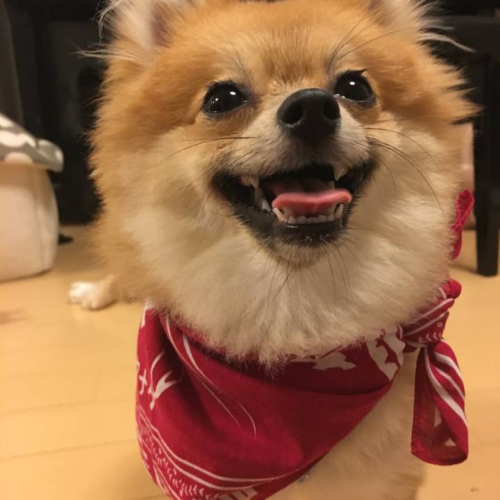 03858fbd 824f 41f0 b73f 655c929e02ca