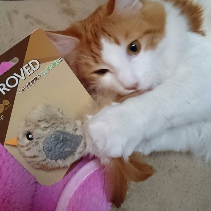 0385f83d 1ae3 48ca 9a46 afa1c135ede6