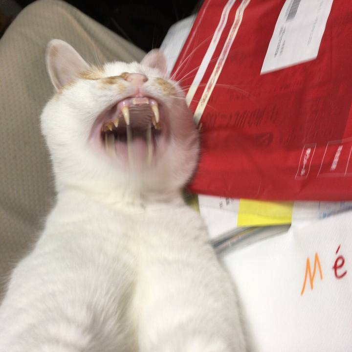 03861279 f2b6 4841 83b9 d0b62588ee1c