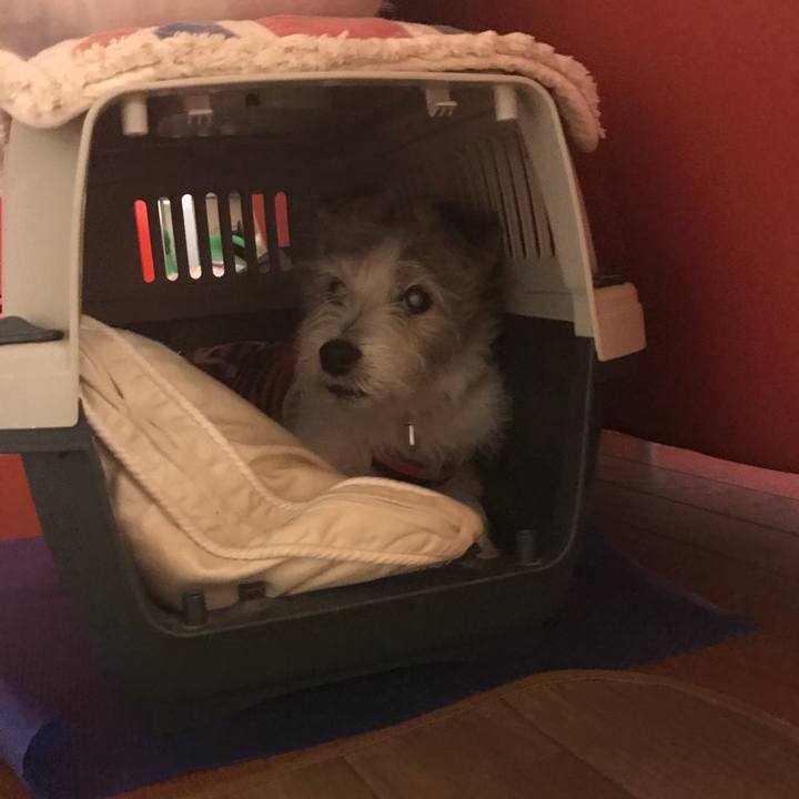 0386b317 9cdf 4316 991c f300bc2f06c9