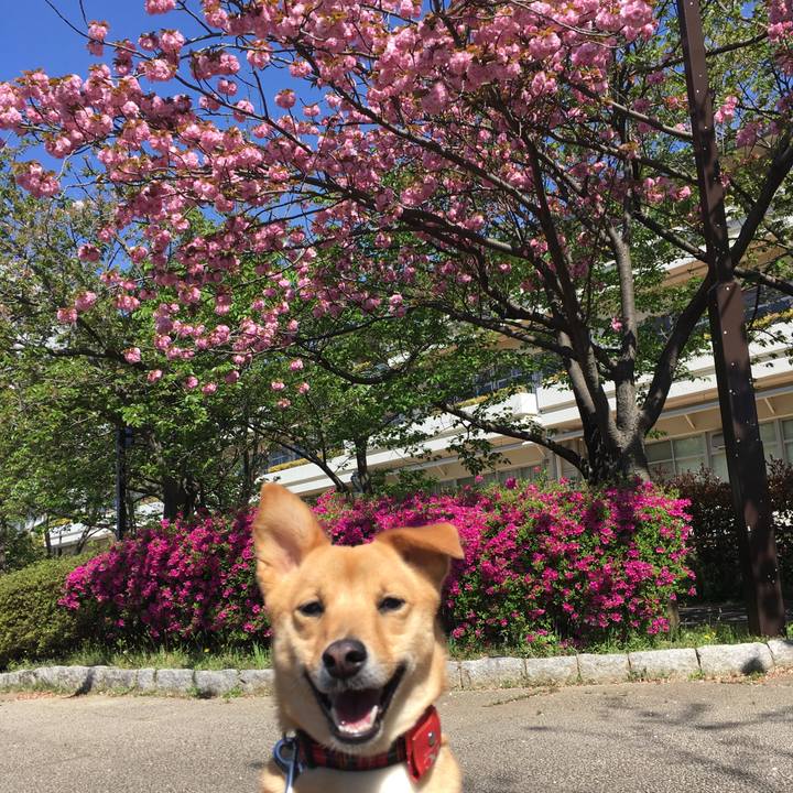 0387d9ae cc66 4ff0 bcae 8a6d6c297e57