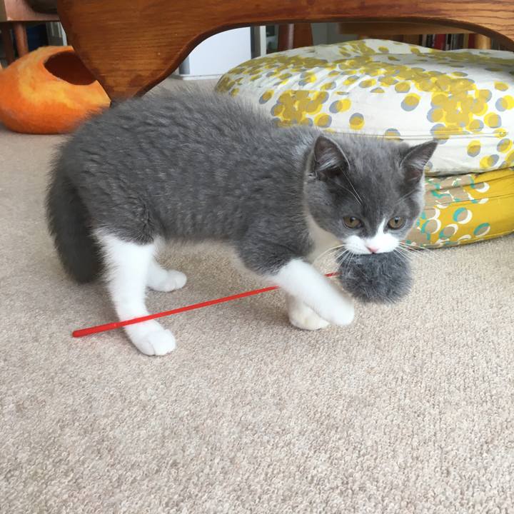 0387ed96 6290 4883 9565 ee17d71b2bef