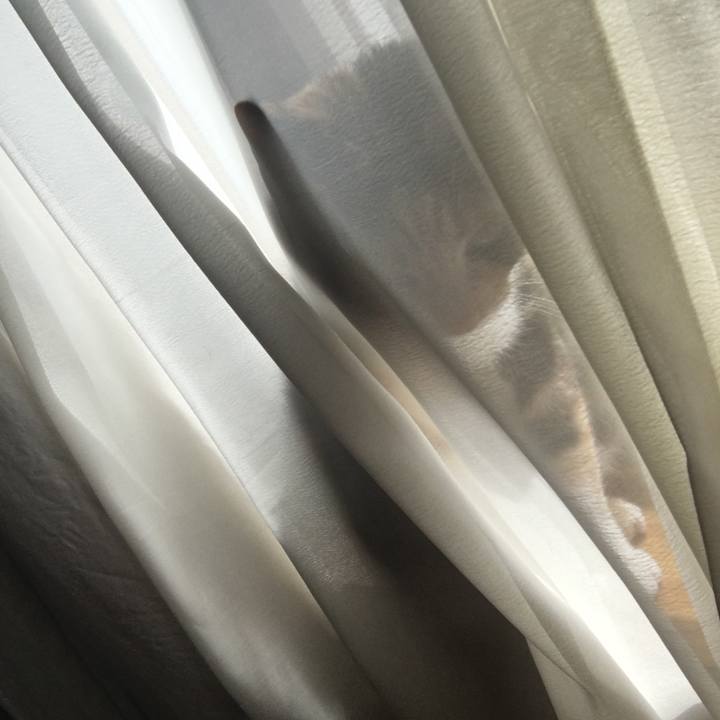 03883bd9 650c 41b5 8bca e1004d0471ba