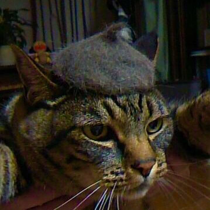 0388e23b 92b7 4003 bfe7 b1eb3e4d972b