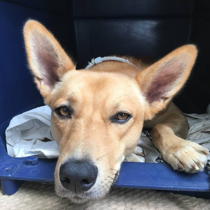 038902b2 79a8 4df0 8189 f89d6bda76bc