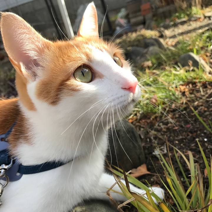 038978a5 7e8b 43c8 895b cda22425c216