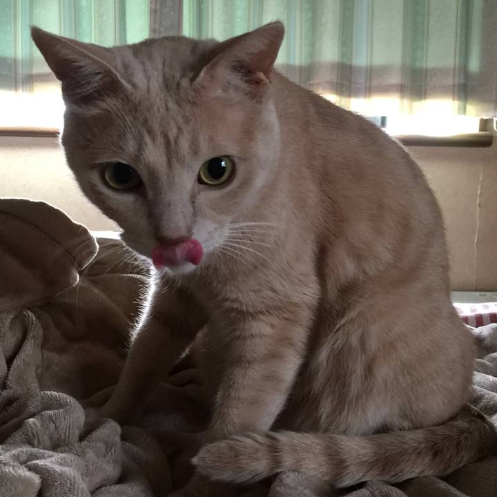 0389dd47 e0aa 42dd b9f2 f4dbdb856f65