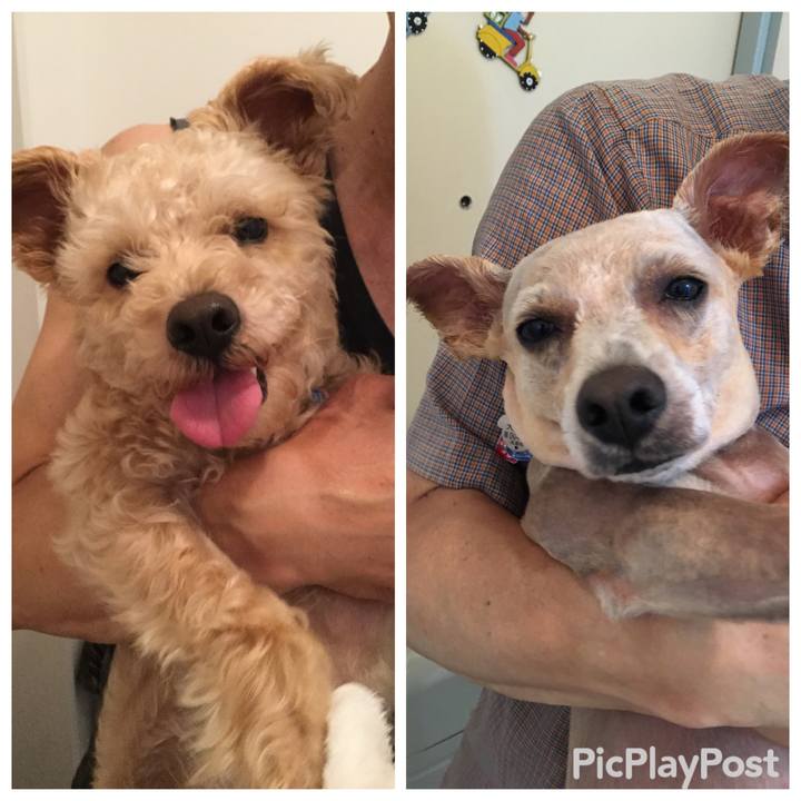 038a6333 07c1 421d 89cc 55dc111675d6