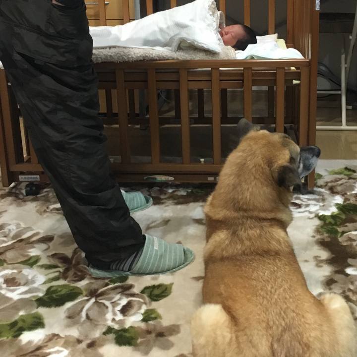 038aa325 e863 4fa3 b79d ca0c5f61c288