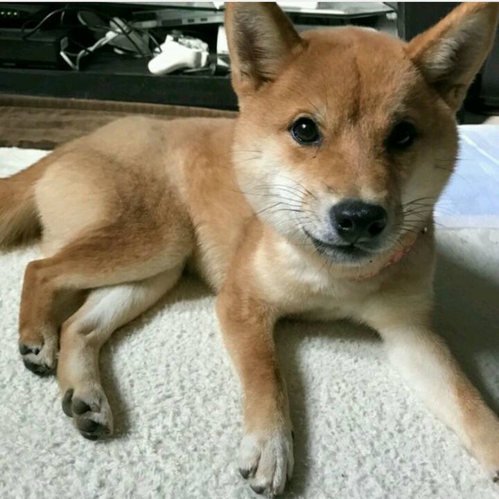 038b2c0d dfa6 4cec aa87 5058a823830f