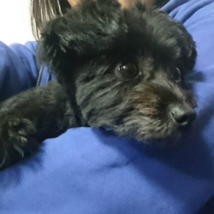 038b7094 d37a 436c 963d e5f225658da1