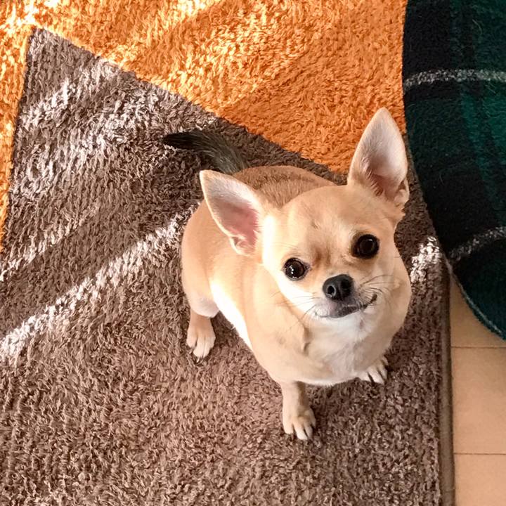 038b71e1 b42d 46ba aded 9ac47c3bf6be