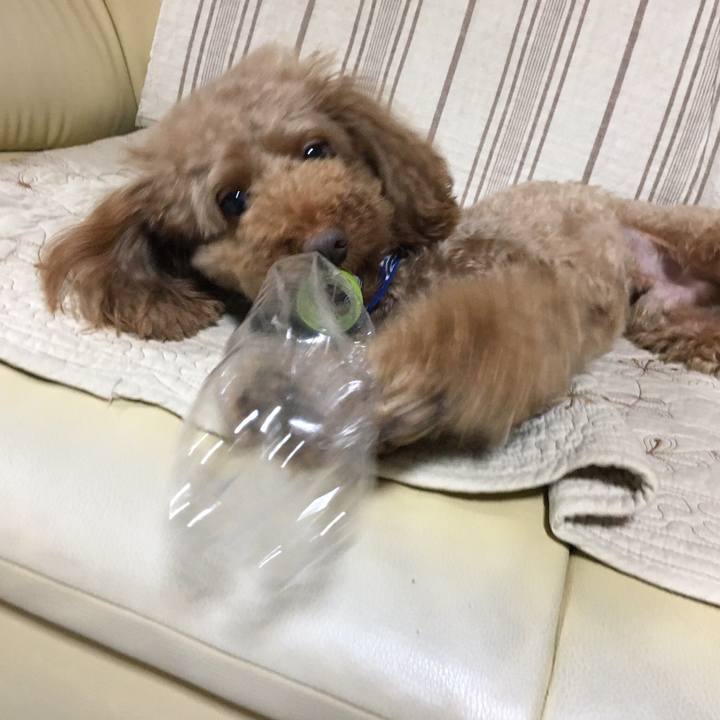 038b86de 7080 4311 a3d0 e8da3a776c48