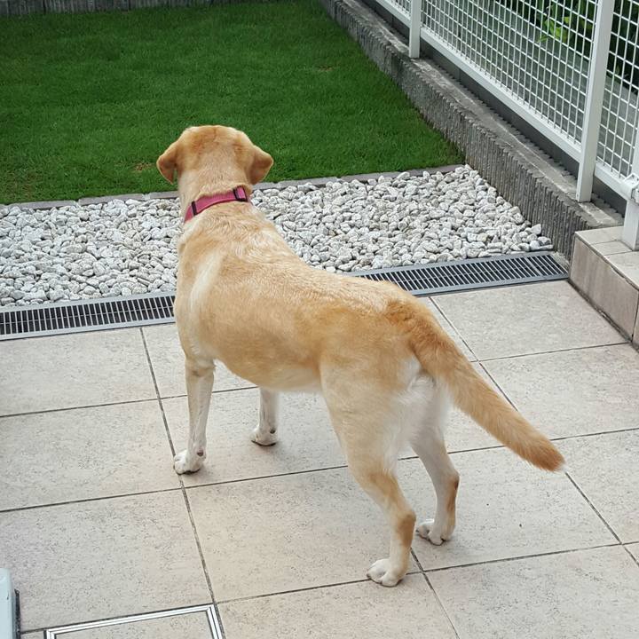 038bdaf3 1f9c 4a2b b190 f87763581e1f