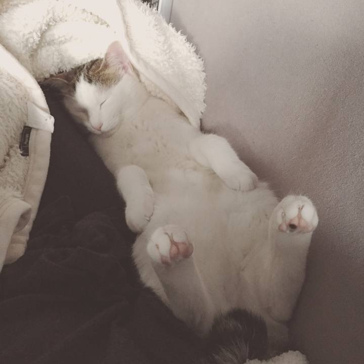 038be40b d95b 48d6 8825 d3bd26b8b266