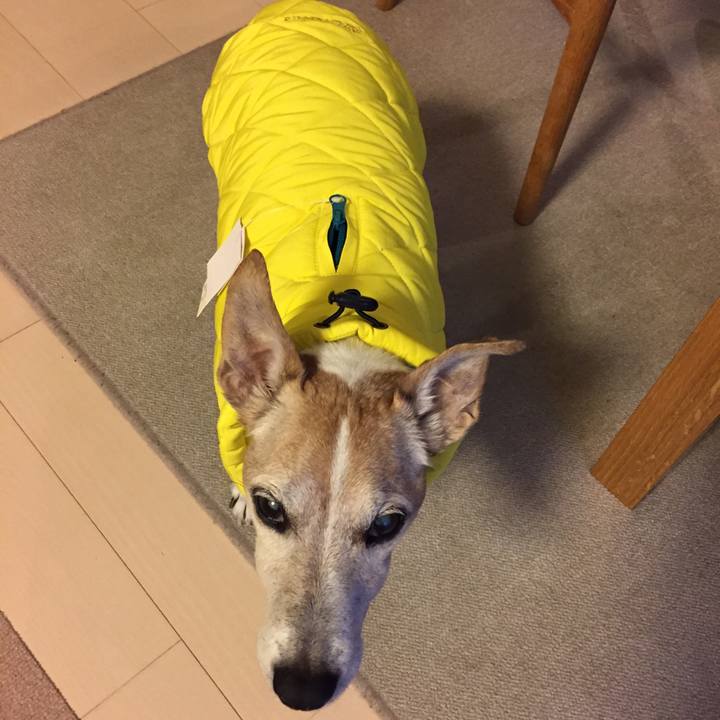 038c0fd9 b9ea 46a3 956d 3f3b36846189