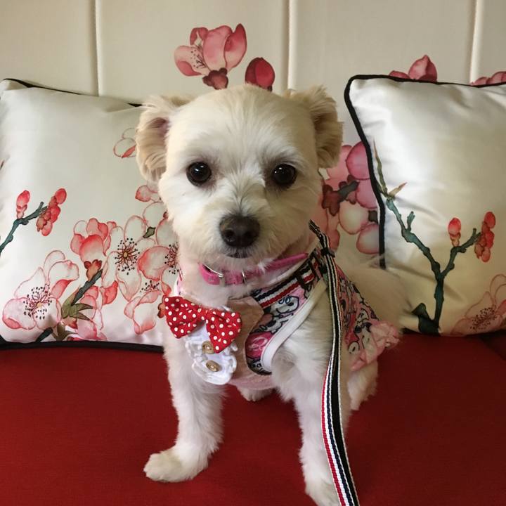 038c14ff e583 42f0 bd77 a54c57162206