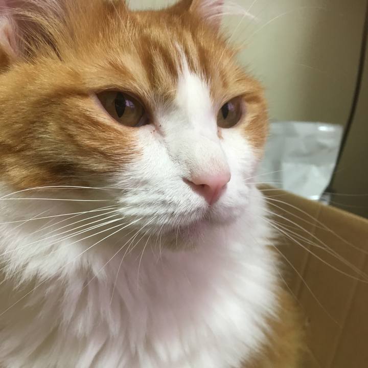 038c1dcc b637 4517 a1e0 316dec7bb9eb