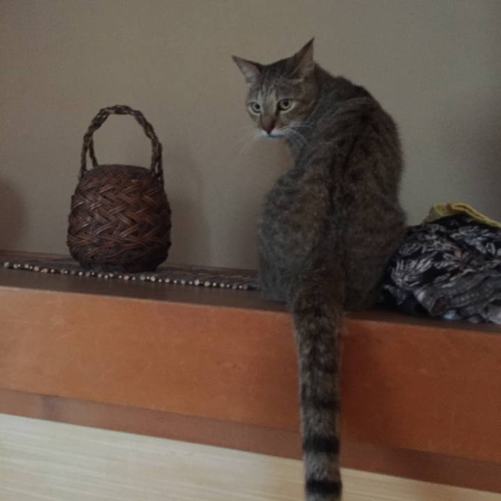 038c6ccf 68d9 4c87 9288 1acab3359b4a