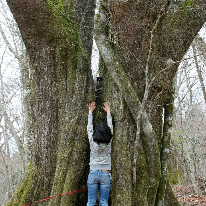 038c7d4a d59f 4722 bfb2 f300e519b097