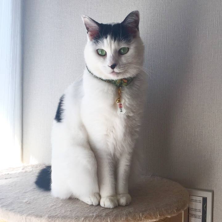 038cb1c5 8586 41a7 a4cd f193ddb5f7e7