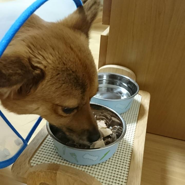 038cc4c3 366e 4d07 b07c 8de464919047