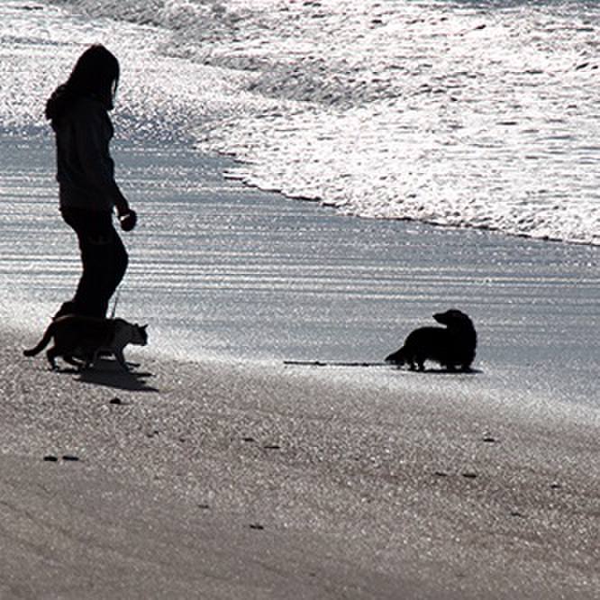 038d0c18 a3df 4d7c bb52 285968e198a4