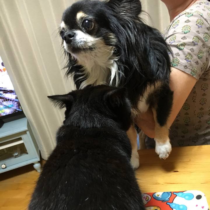 038de599 ee91 4ea0 9dbd 37efb988b77c