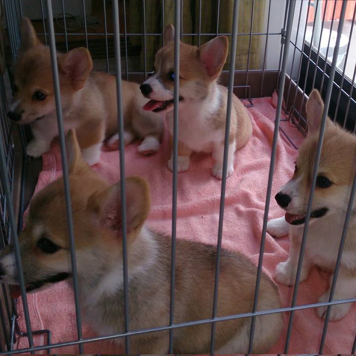 038e5813 4af6 432a b89e beaf8bf0f87f