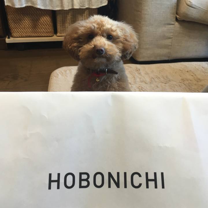 038e7bcc 102f 4dc7 8f5a 3eec860a6eef