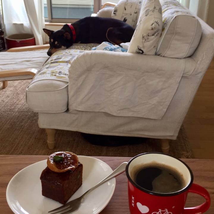 038f0cc6 ee24 48ce b34a ffc4d9290e7d