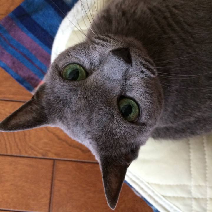 038ff04c 8966 487e 9587 b6afd9e3a3c0