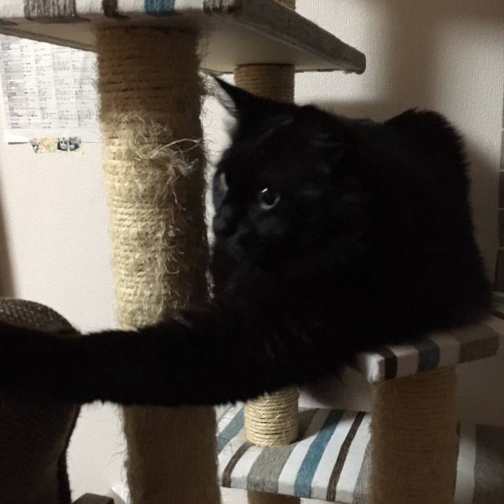 03900781 08ac 42f6 8d2b 4d23c77ed232