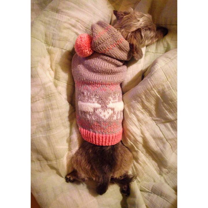 039082b6 ad4e 4207 b4a2 0b1952c7de95