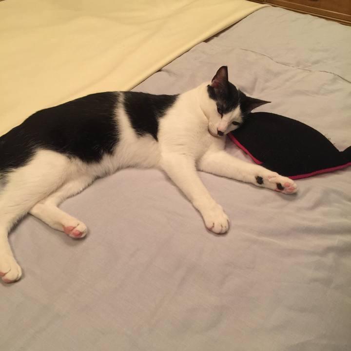 039195e4 29a9 4365 876f fd7b0b9a4c03