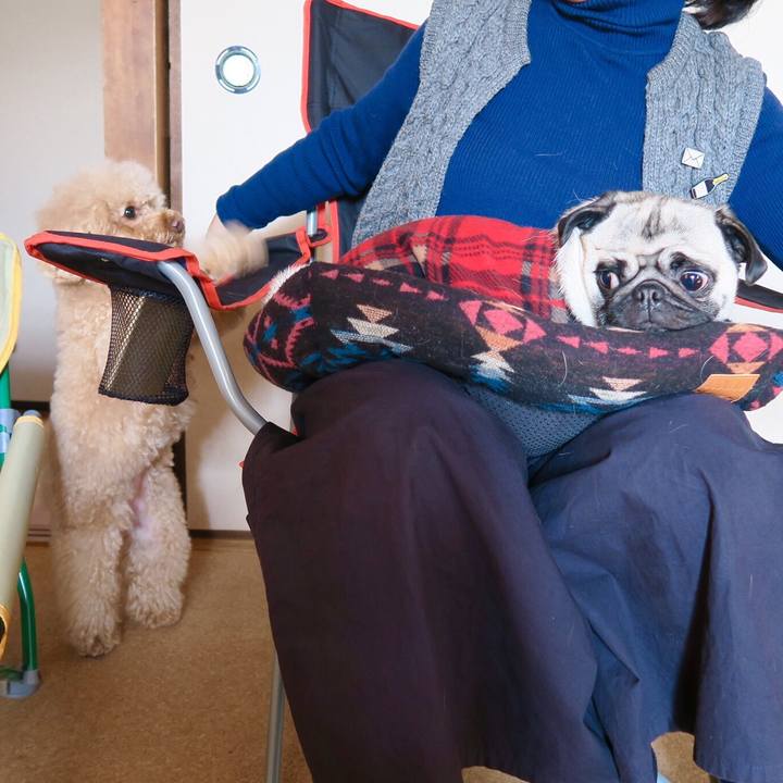 0391b5cf 0804 483c 9e62 88a112fc706d