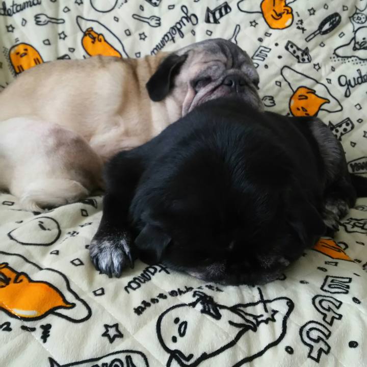 039273b8 9850 463e 9e19 78753c5c9e71