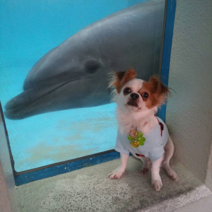 03932750 d194 47c4 aeb2 af53e9927b10