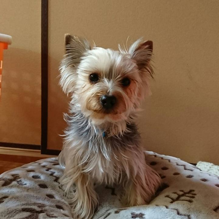 03944698 b364 4c88 a6be e7bb23d72610